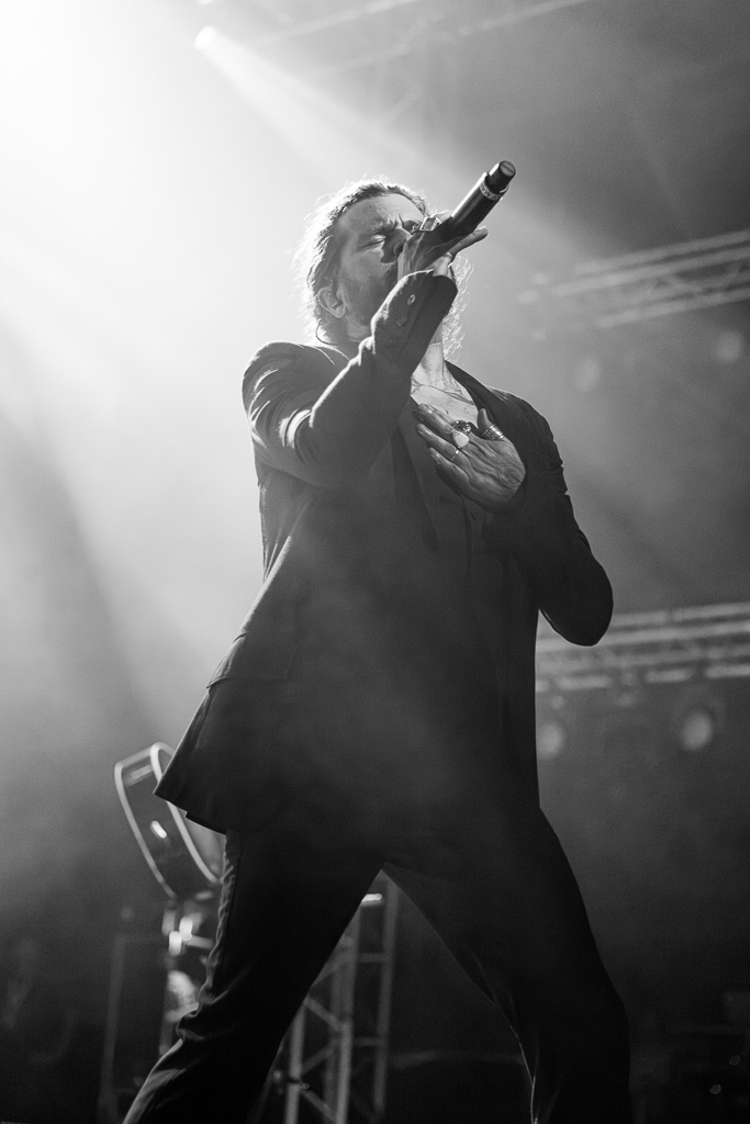 <a href='/artists/rival-sons/'>Rival Sons</a>