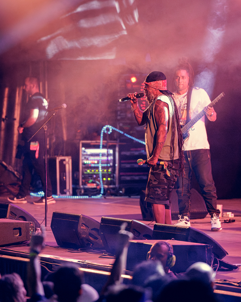 <a href='/artists/asian-dub-foundation/'>Asian Dub Foundation</a>