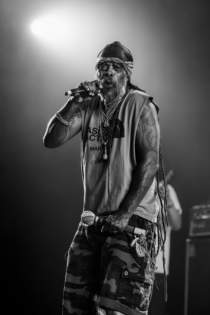 <a href='/artists/asian-dub-foundation/'>Asian Dub Foundation</a>