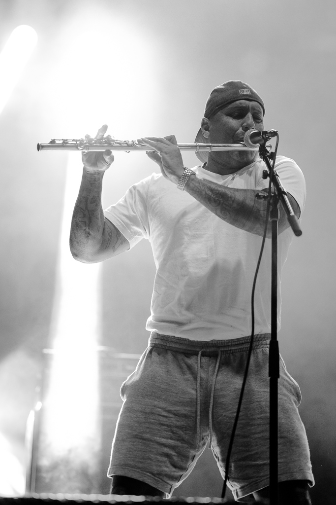 <a href='/artists/asian-dub-foundation/'>Asian Dub Foundation</a>