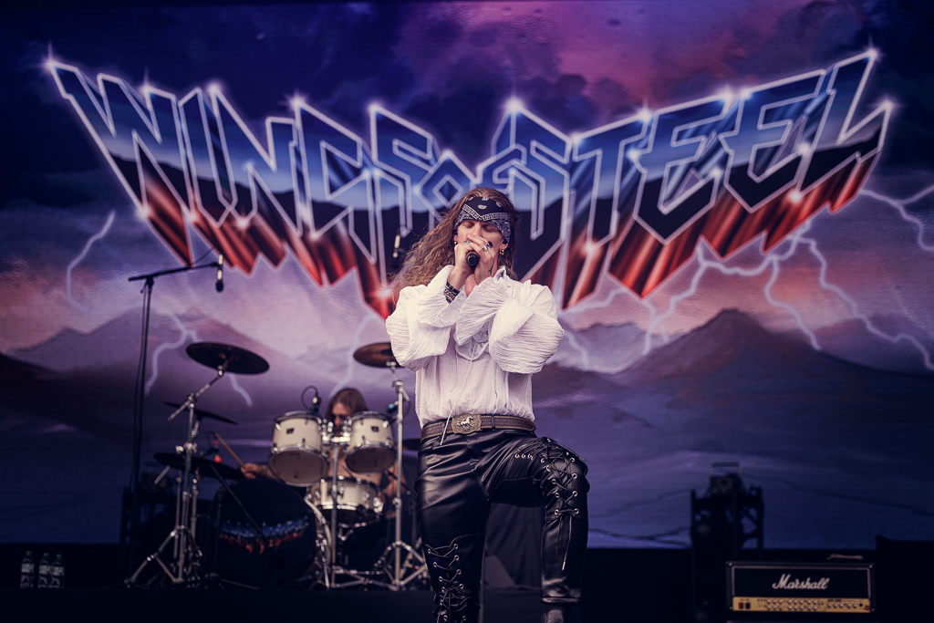 <a href='/artists/wings-of-steel/'>Wings of Steel</a>