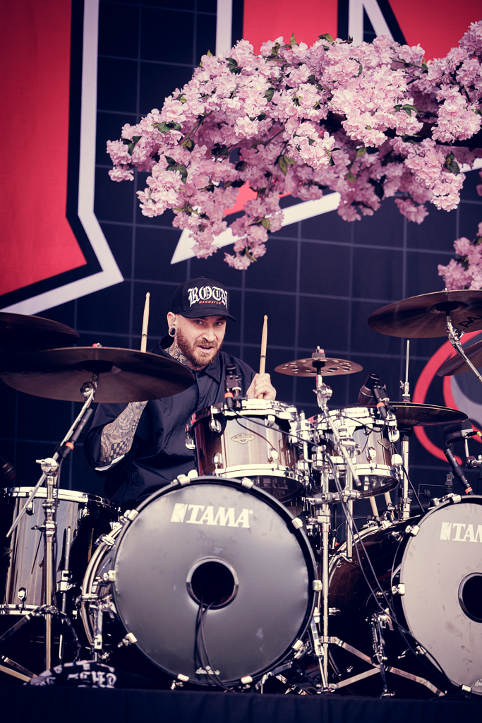 <a href='/artists/rise-of-the-northstar/'>Rise Of The NorthStar</a>