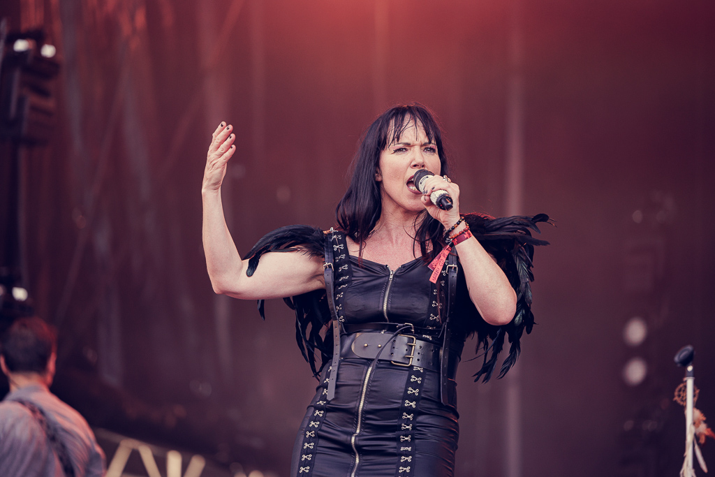 <a href='/artists/crazy-jesse/'>Crazy Jesse</a>