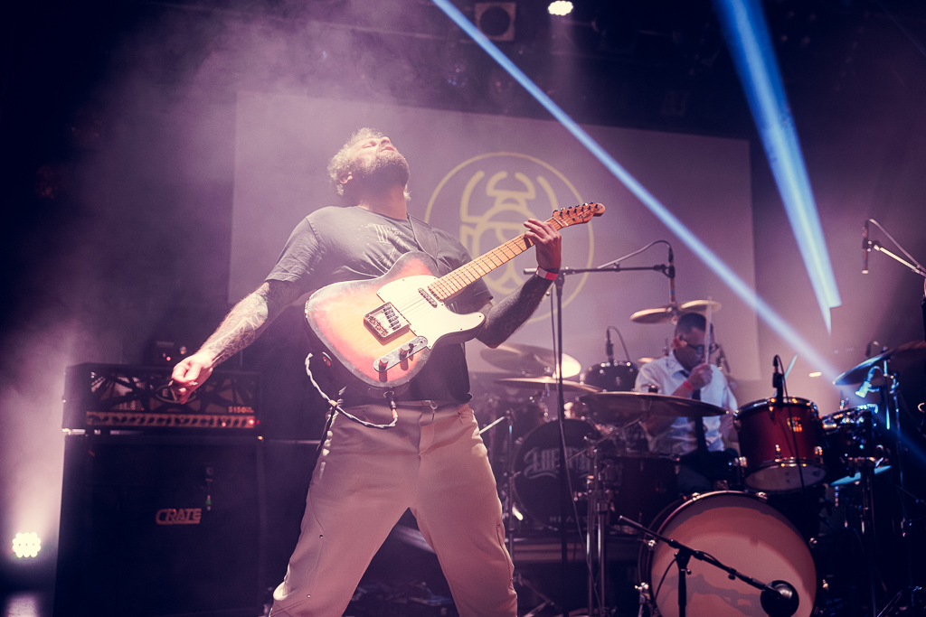 <a href='/artists/the-dungbeetle-conspiracy/'>The Dungbeetle Conspiracy</a>