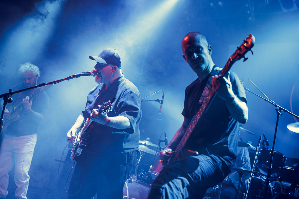 <a href='/artists/the-dungbeetle-conspiracy/'>The Dungbeetle Conspiracy</a>