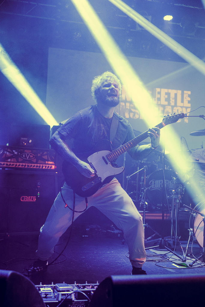 <a href='/artists/the-dungbeetle-conspiracy/'>The Dungbeetle Conspiracy</a>