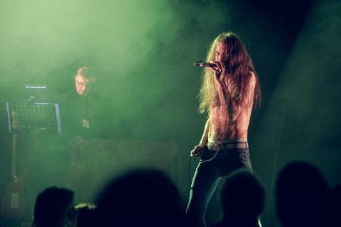 Wicked Elephant Revival