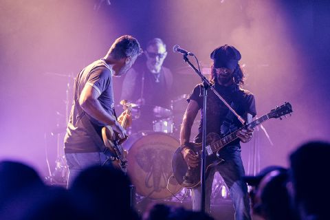 Wicked Elephant Revival