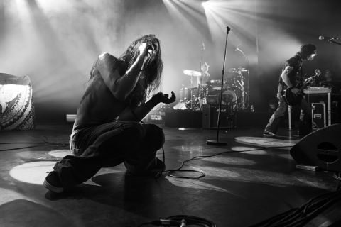 Wicked Elephant Revival