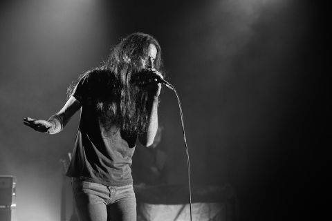 Wicked Elephant Revival