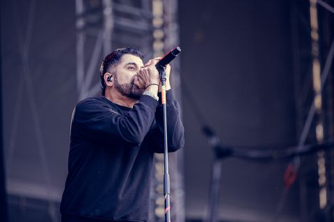 Zebrahead