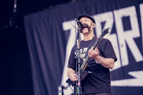 Zebrahead