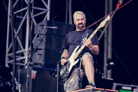 Zebrahead